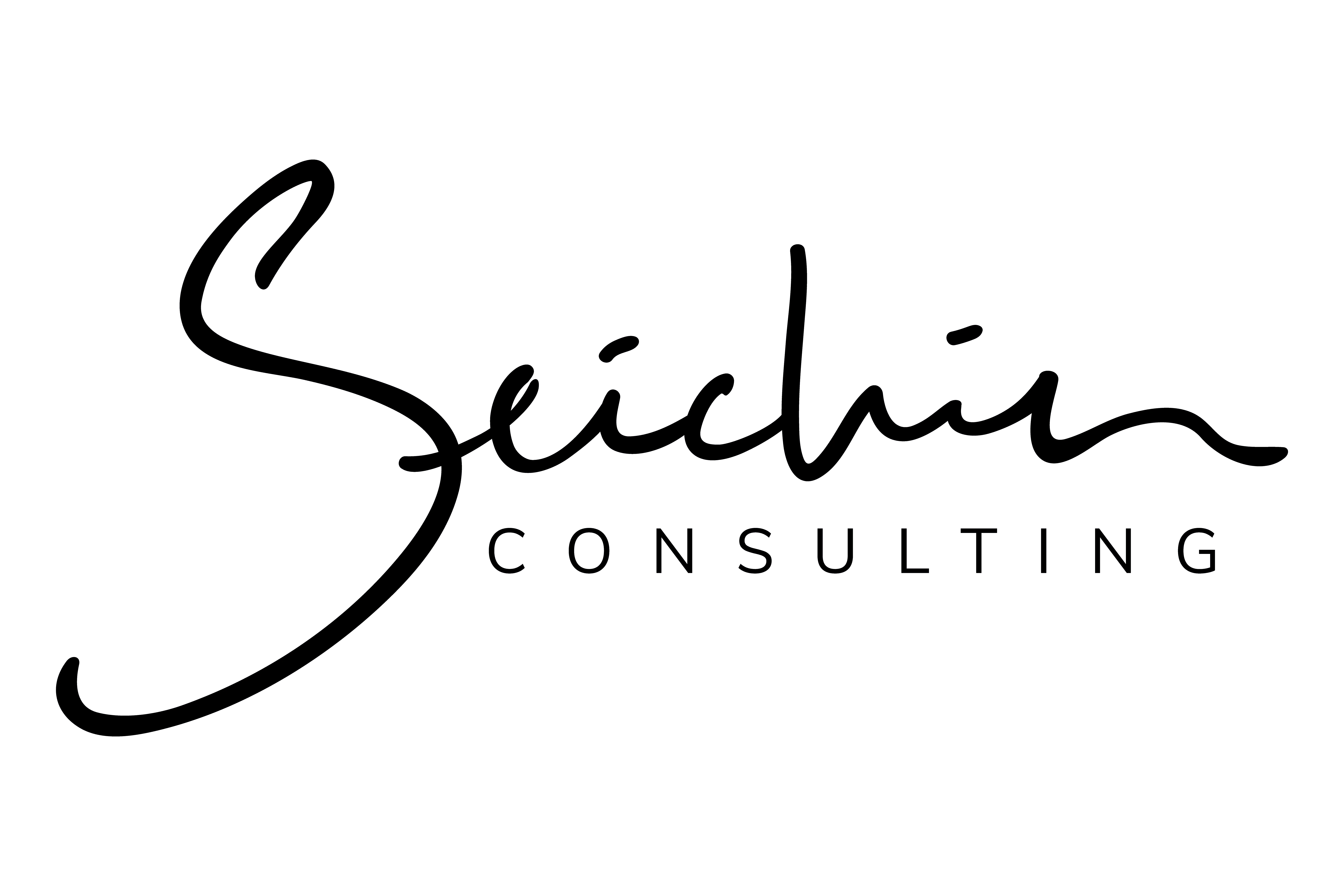 Seichin Consulting